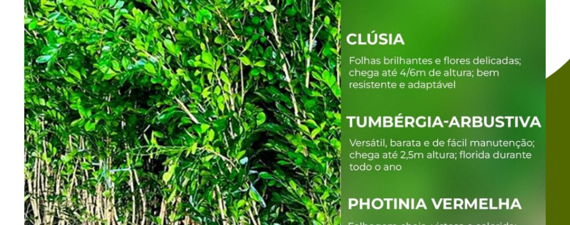 destaques dos blog's (5)